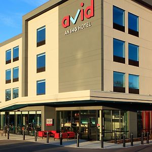 Avid Hotel Boston Logan Airport - Revere